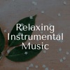Relaxing Music Orchestra - Relaxing Instrumental Music