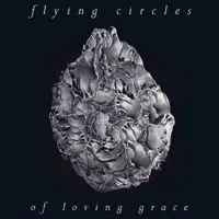 Please Stay — Flying Circles