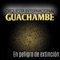 En Peligro de Extinción - Orquesta Internacional Guachambe lyrics