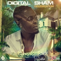 Celebration - Single - Digital Sham