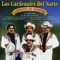 Leopoldo Rios - Los Cardenales del Norte lyrics