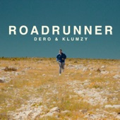 Roadrunner artwork