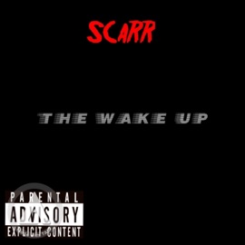 Bad Vibez (feat. Hell Yeeeeah) Scarr