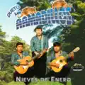 Mis Tiempos Pasados