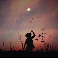 Falling, Pt. 2 - Single - Ferven