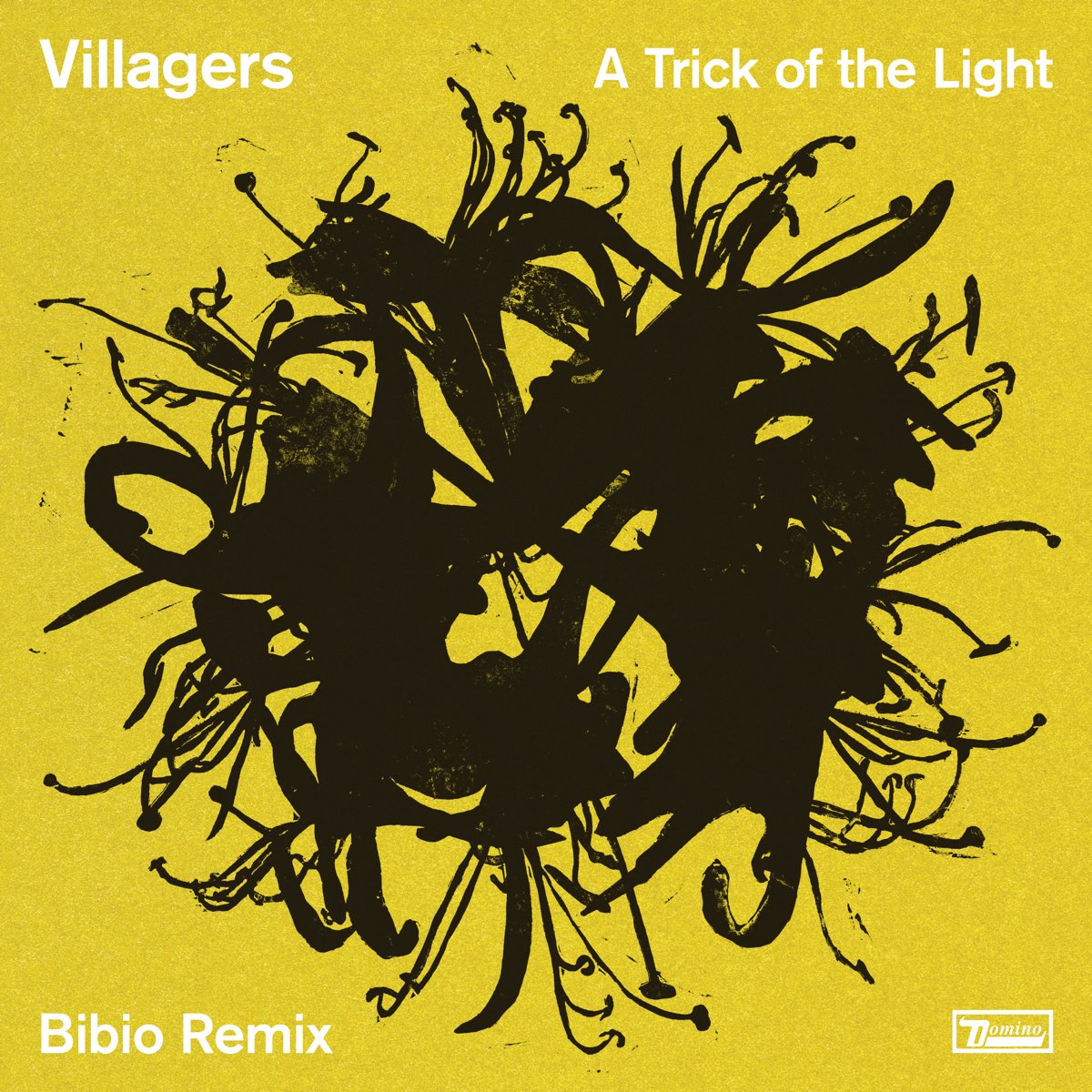 A Trick of the Light (Bibio Remix) - Single by Villagers on Apple Music