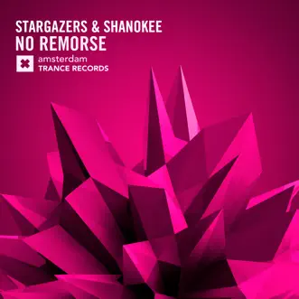 No Remorse (Radio Edit) by Stargazers & Shanokee song reviws