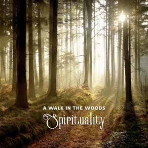 A Walk in the Woods – Spirituality, Mindfulness, Connection with the Divine, Spiritual Growth