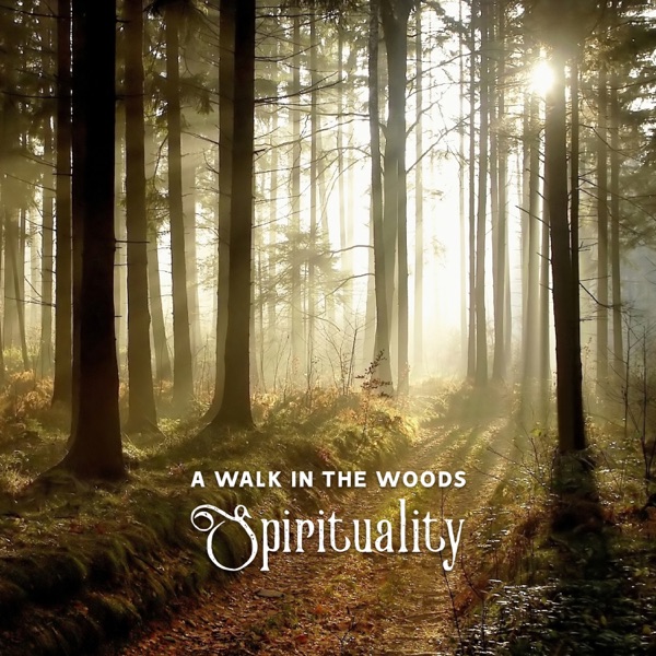 A Walk in the Woods – Spirituality, Mindfulness, Connection with the Divine, Spiritual Growth