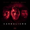 Carnalismo (feat. Gilli & branco) - Single