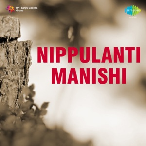 Nippulanti Manishi (Original Motion Picture Soundtrack) - EP
