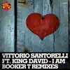 I Am (Booker T Kings Of Soul Vocal Mix)