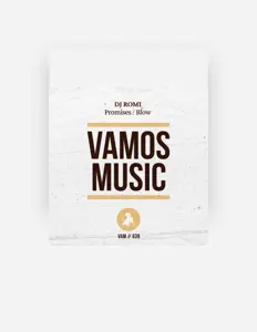 Luister naar DJ Romi, bekijk muziekvideo's, lees de bio, bekijk de tourdata, en meer!