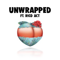 Unwrapped (feat. Rico Act) - Single - Birthdayy Partyy