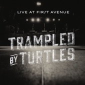 Trampled By Turtles - Where Is My Mind? (Live)