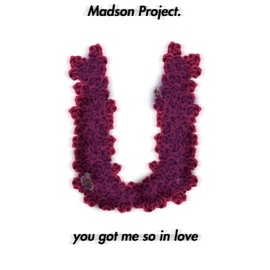 You Got Me So in Love Madson Project.