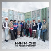 1¹¹=1 (POWER OF DESTINY) artwork