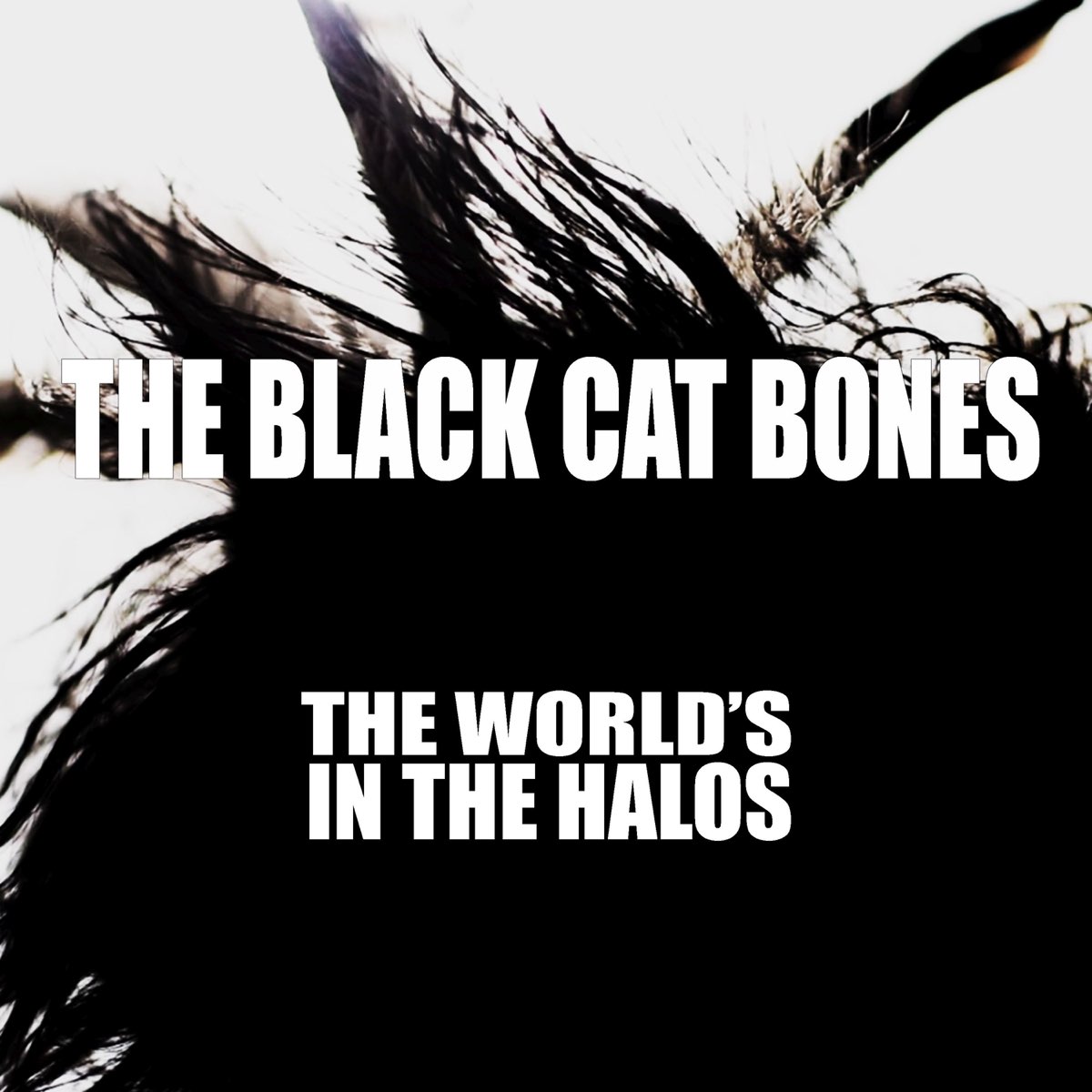 Black cat bone. Группа Black Cat Bones. Black Cat Bones - the long Drive. Black Cat Bones все изображения. Black Cat Bone - drinking' Alone (2008).