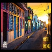 Mi Vida artwork