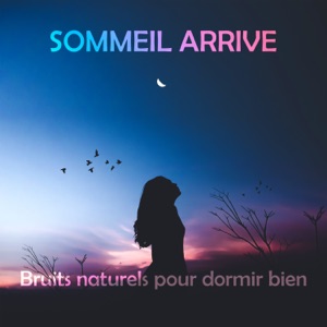 Sommeil arrive: Bruits naturels pour dormir bien