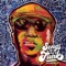 What's My Name (Big Sam) - Big Sam's Funky Nation lyrics