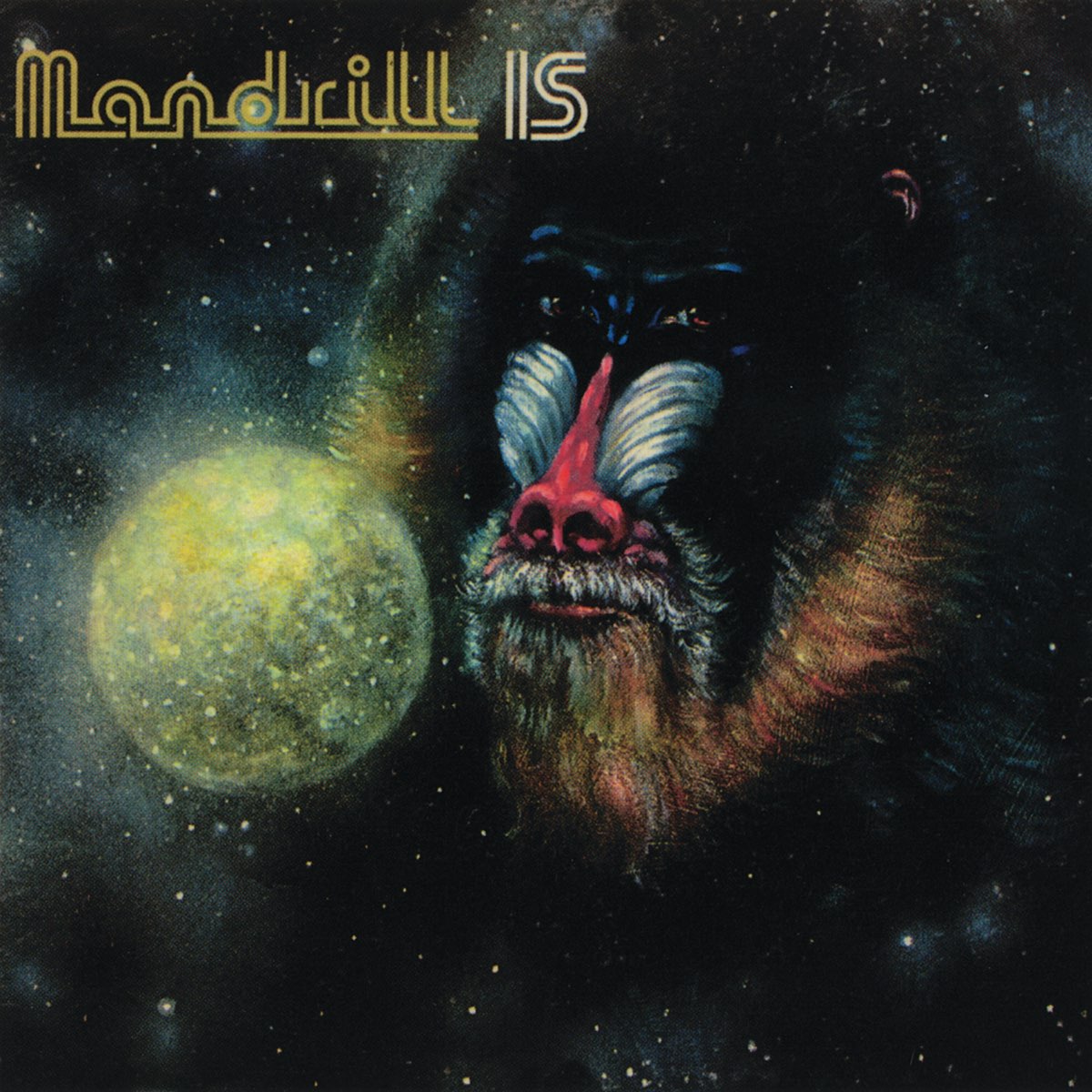Mandrill booty bands sale