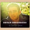 You Can Run (feat. Kid Cudi) - Bryan Greenberg lyrics