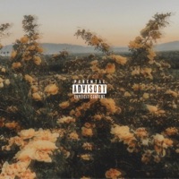 Always & Forever - Single - Globalcez