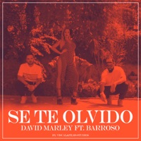 Se Te Olvido - Single - David Marley & Barroso