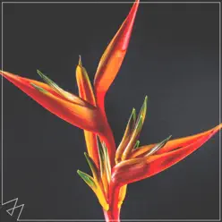 Havana - Single - Madilyn Bailey Havana - Single - Madilyn Bailey