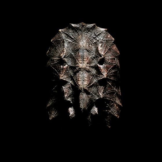 Cover artwork for The Rockshow