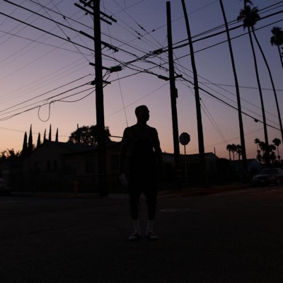 Sicko Bean Coffee Mode - Single