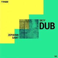 Skyy Dub - Single - Zepherin Saint