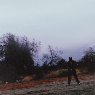 The Least of My Worries - Single