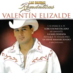Las Bandas Románticas - Valentín Elizalde