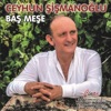 Baş Meşe
