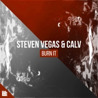 Burn It - Single - Steven Vegas, Calv & Revealed Recordings