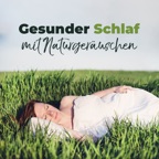 Einschlaf Meditation