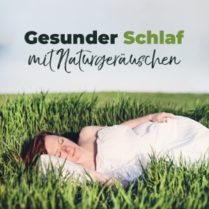 Gesunder Schlaf mit Naturgeräuschen: Ruhige Meeres, Regen und Wald Geräusche