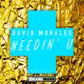 David Morales