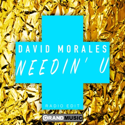 Needin U (feat. The Face) [Radio Edit] cover art