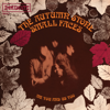 The Autumn Stone - Small Faces