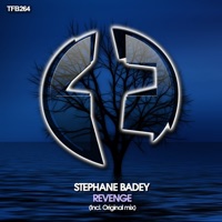 Revenge - Single - Stéphane Badey