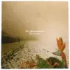 Nic Bommarito - Taciturn II