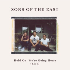 Hold On, We’re Going Home (Live) - Single