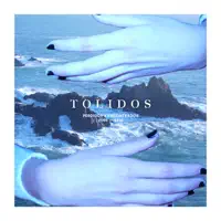 Si Te Vuelves A Enamorar — Tolidos