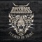 Do It - The BossHoss lyrics