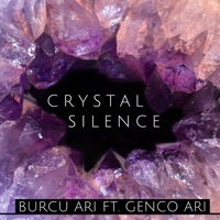 Crystal Silence - Single - Burcu Arı