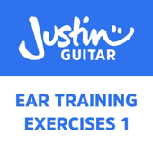 Distorted Electric Guitar (Testing 458)