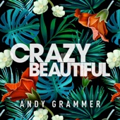 Andy Grammer - Crazy Beautiful